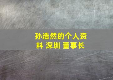 孙浩然的个人资料 深圳 董事长